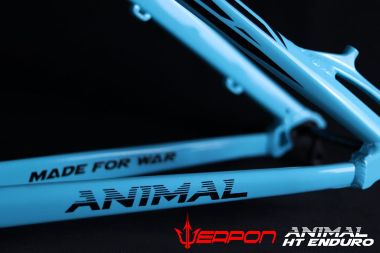 animal frame aqua blue ads5