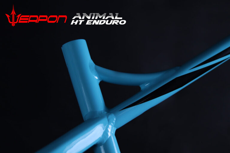 animal frame aqua blue ads6