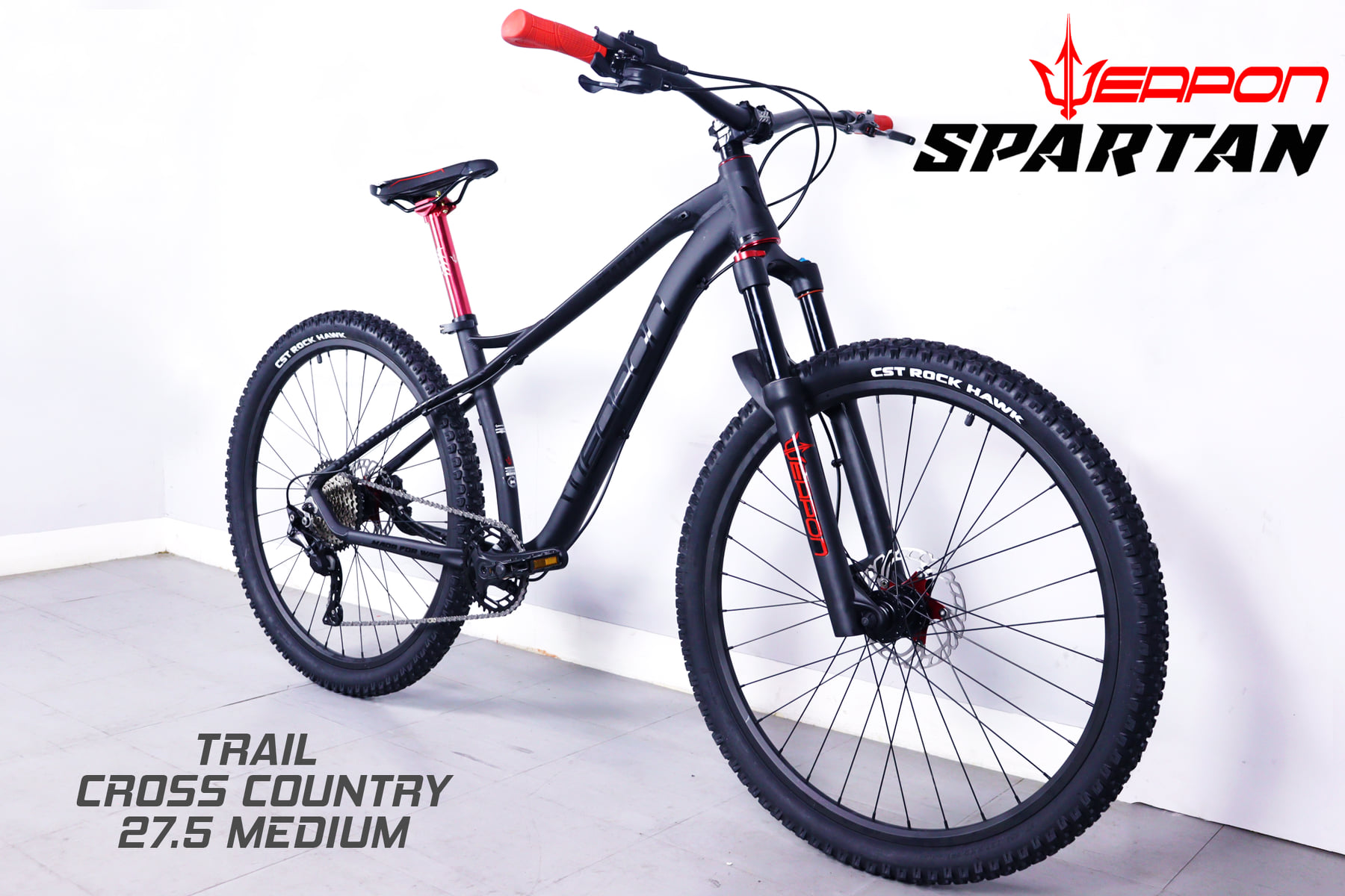 Spartan Built Bike – Weapon Bike