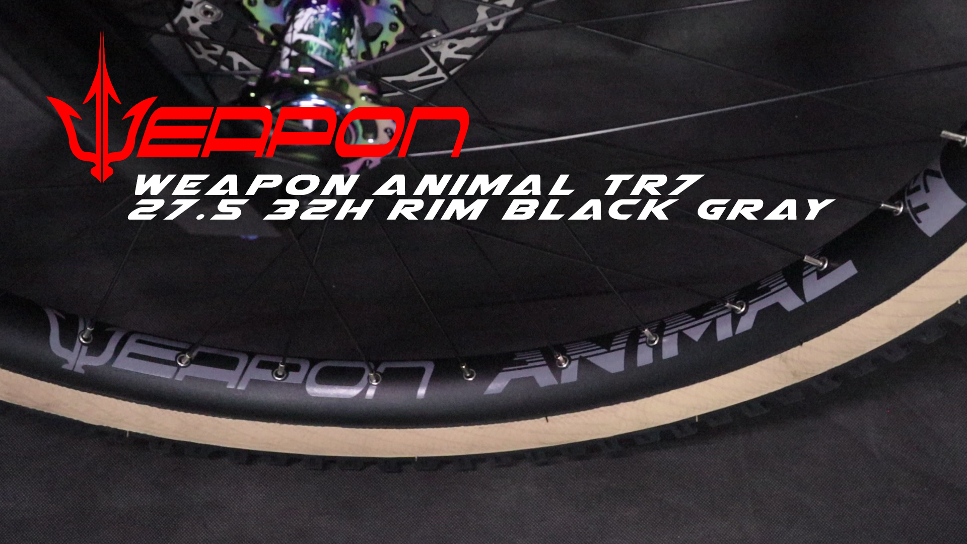 ANIMAL RIM TR7