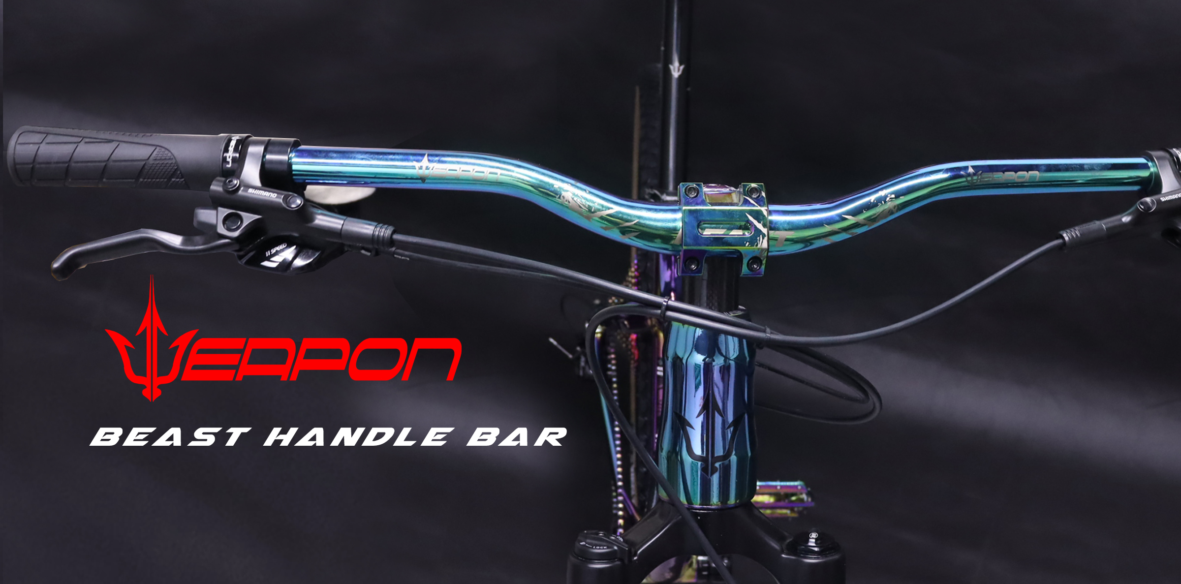 Beast Oil Slick Enduro Built Bike – Weapon Bike