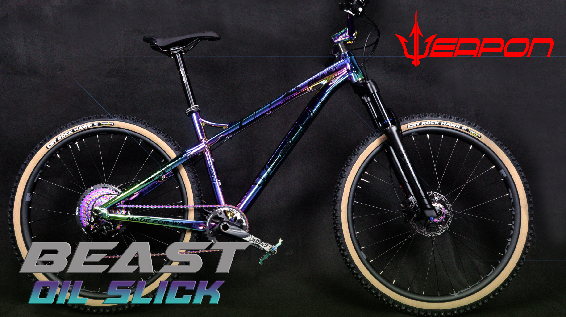 beast whole bike 2